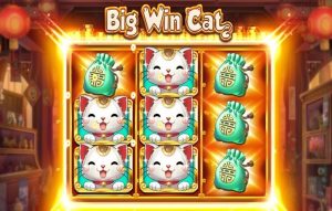 big win cat bonus
