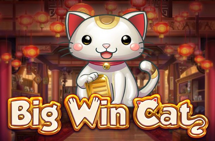 big win cat logo