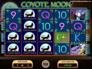 coyote moon bonus
