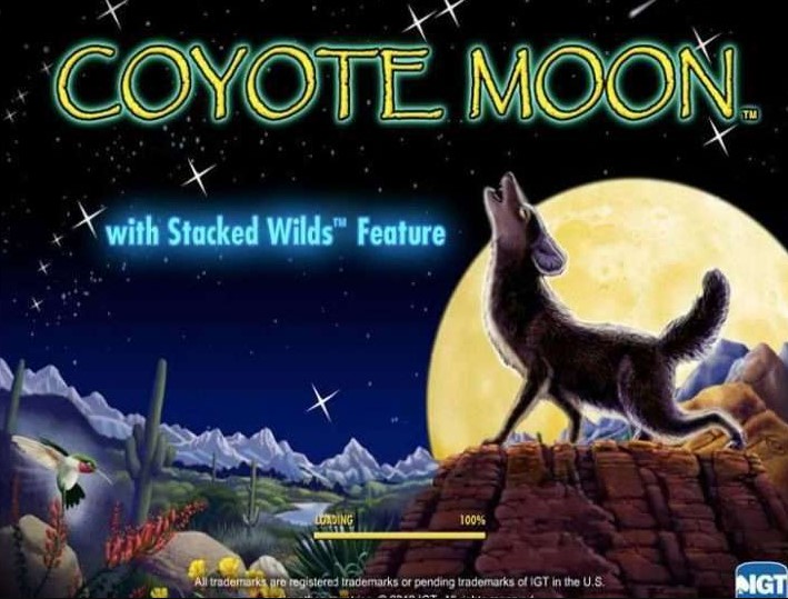 coyote moon logo