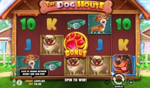 the dog house bonus