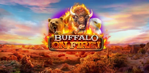 Buffalo on Fire !